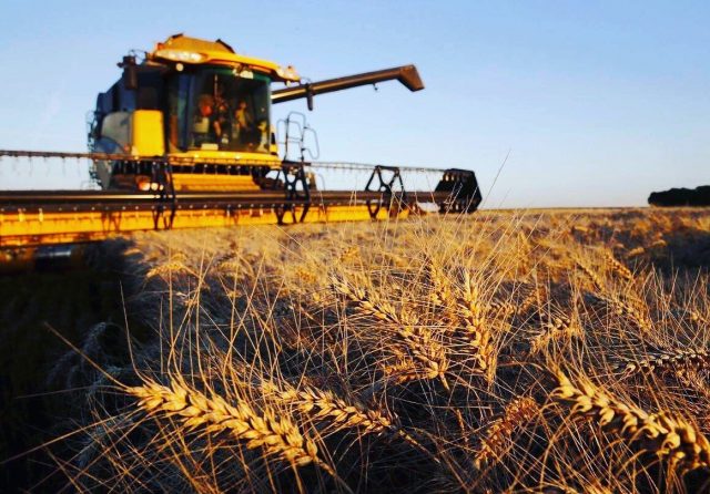 Украине не суждено стать «аграрной державой» - сельхозпроизводство терпит убытки