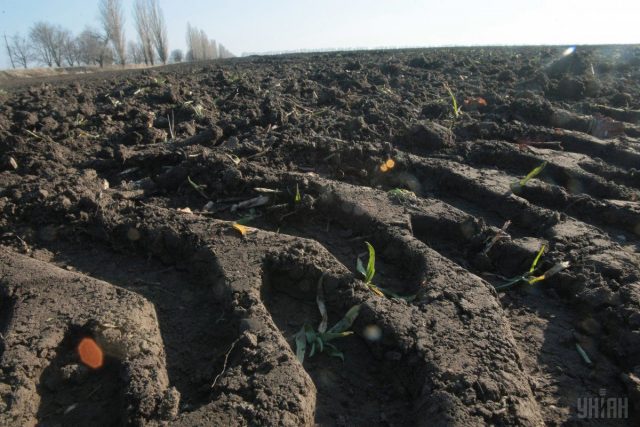 По результатам опроса 64% украинцев против введения рынка земли в Украине, 79% против продажи иностранцам