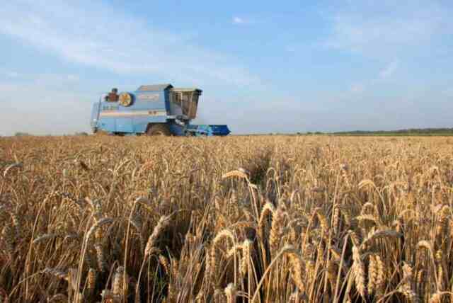 Украинцы боятся, что продажа земли лишит их будущего и превратит в рабов