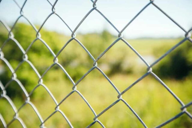 ЕС отказал Литве в финансировании «стены» на границе с Белоруссией