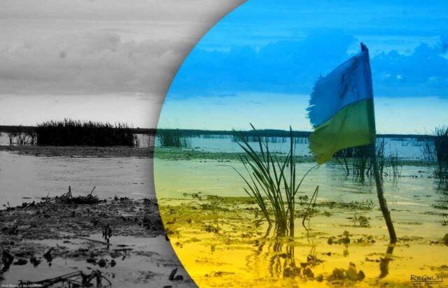 Из-за президентов Украина находится на дне – эксперт