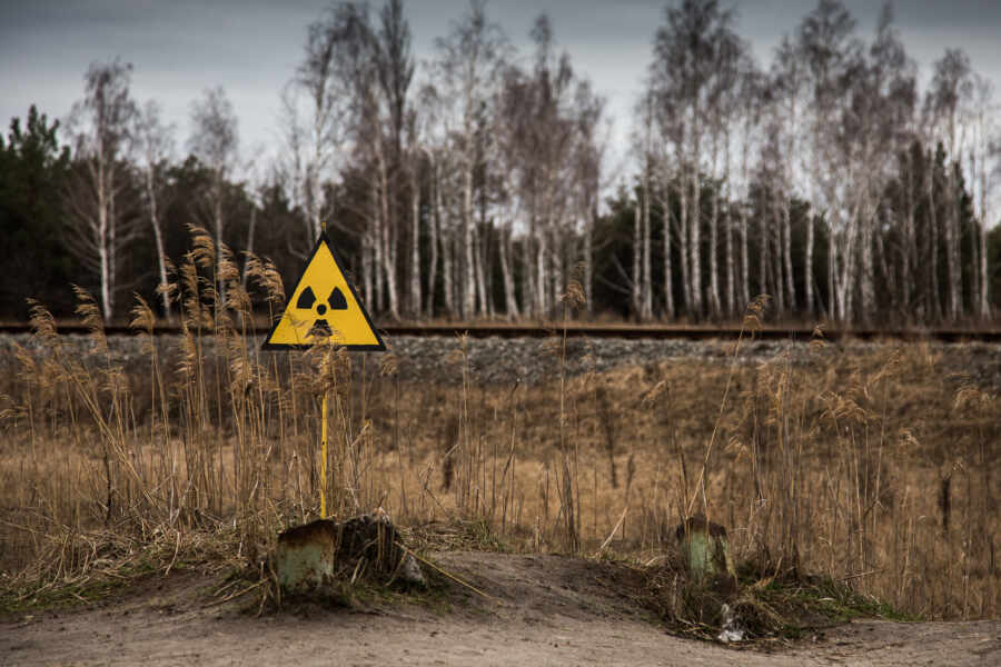 На Украине продали радиоактивную древесину из Чернобыля за 60 млн гривен