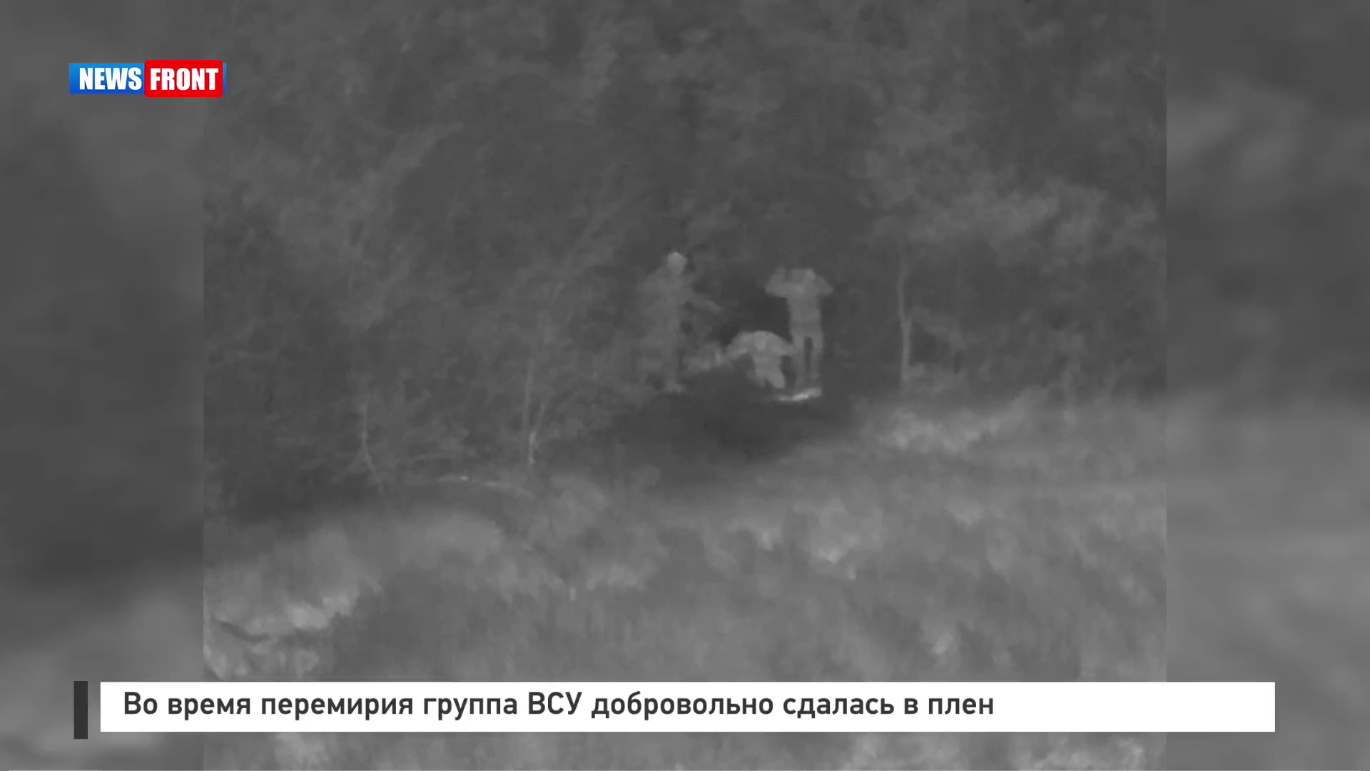 Во время перемирия группа ВСУ добровольно сдалась в плен