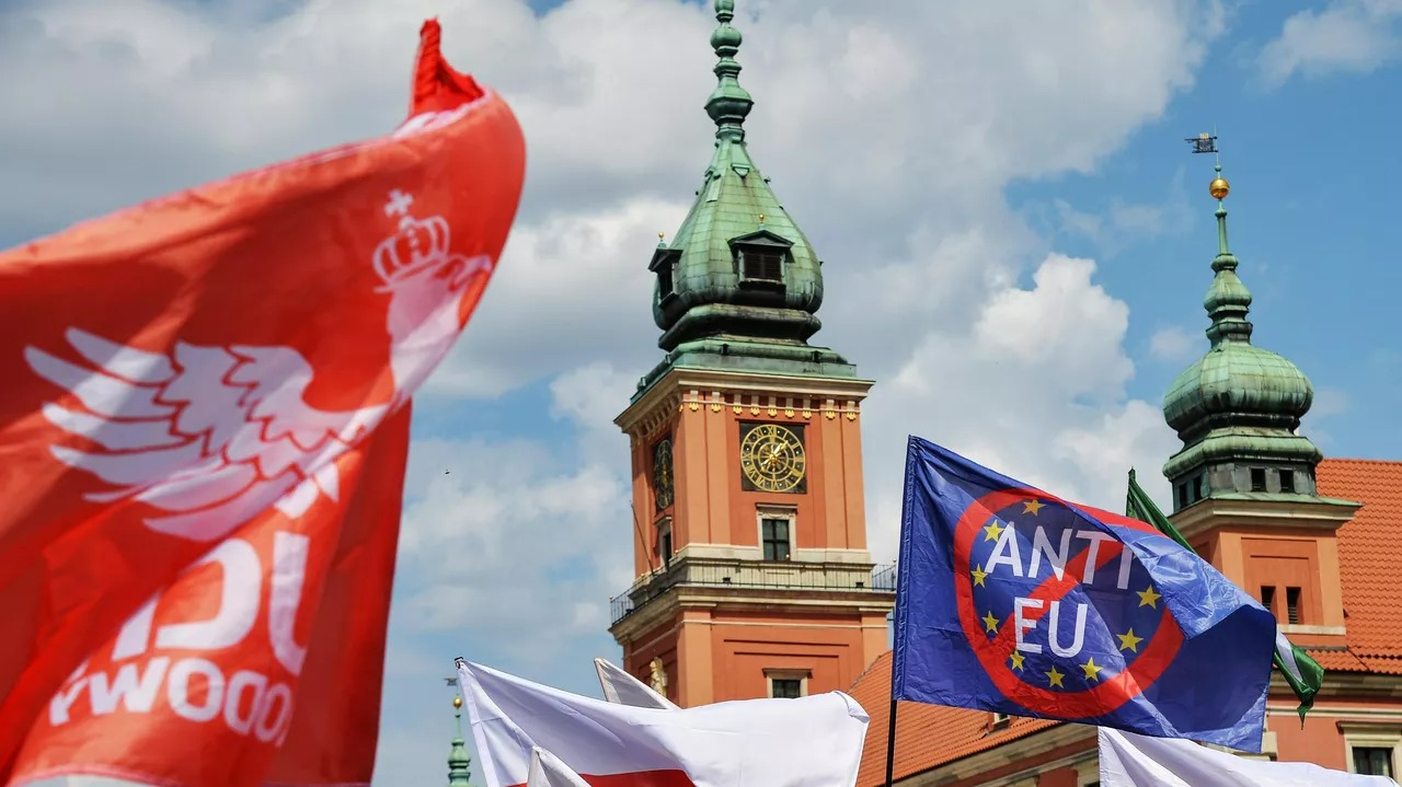 Поляки разочарованы присутствием в ЕС – Владимир Карасёв