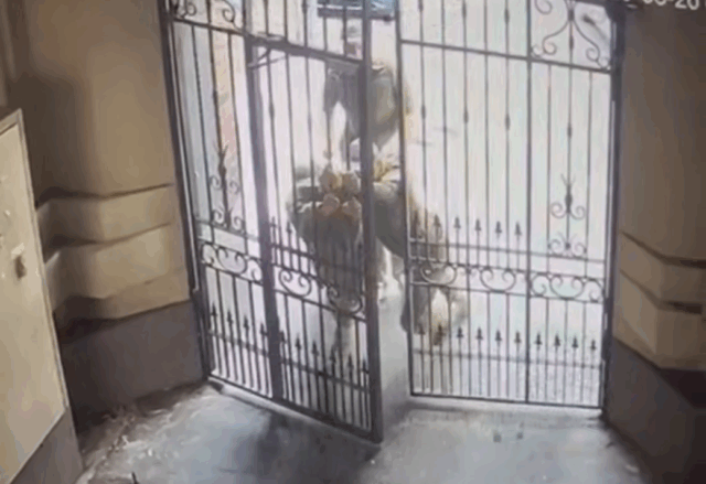 Сотрудники ТЦК в Одессе не смогли «взять штурмом» ворота мобилизованного