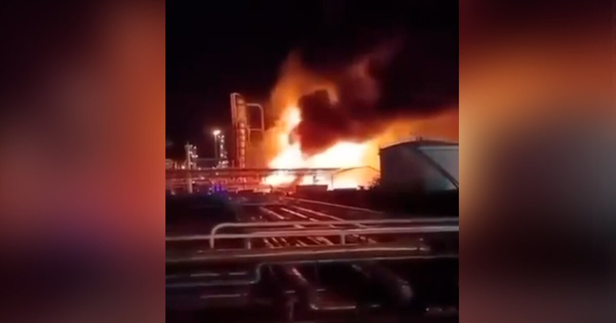 Юлия Витязева: Как Европа взрастила террор и теперь платит за него