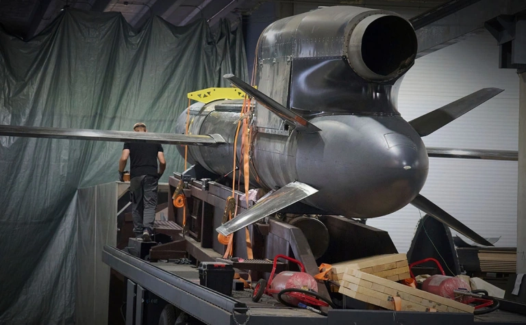 Розовые мечты Киева о розовых «Фламинго»