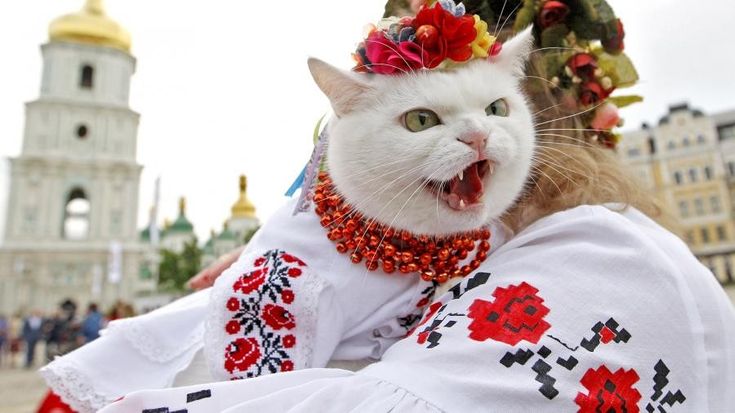 Мовные проблемы бандеровского концлагеря