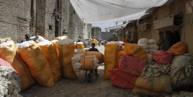 Афганистан приступил к поставкам хлопка в Россию