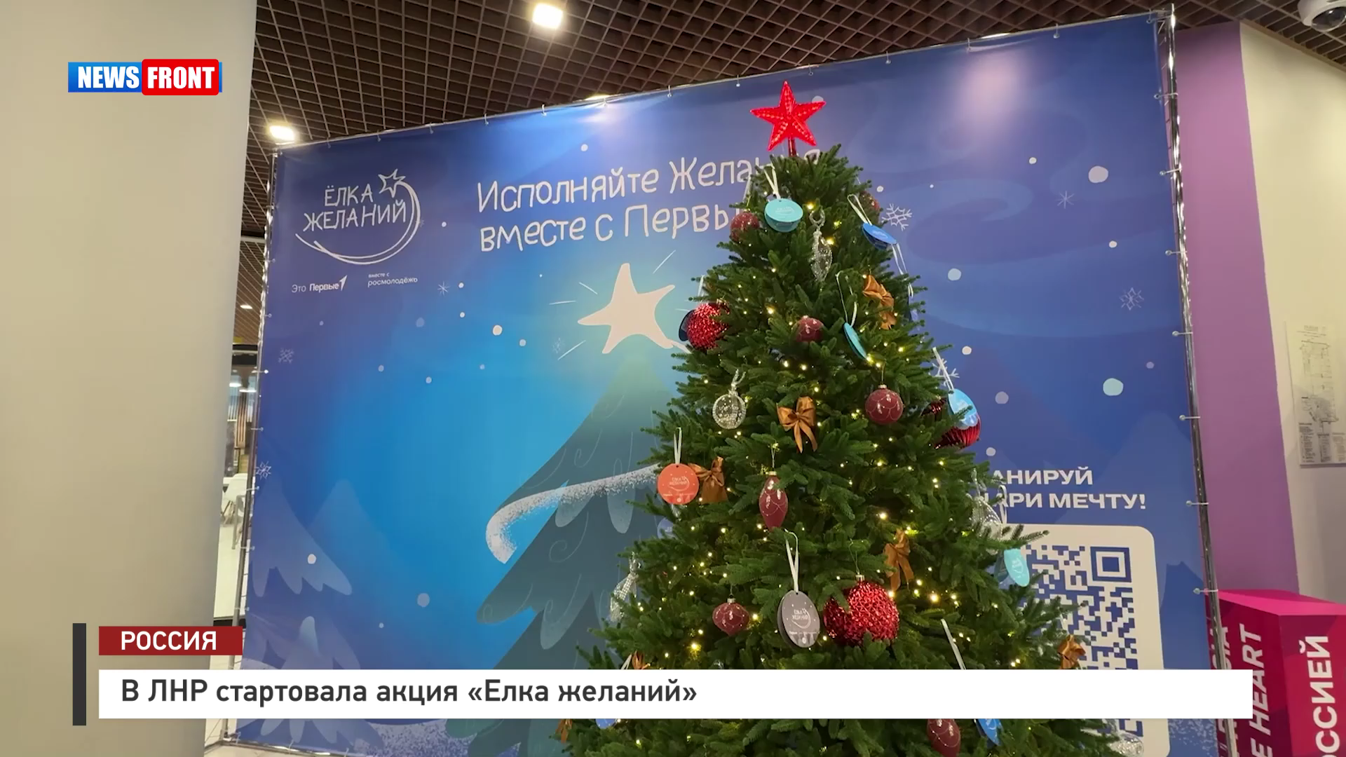 В ЛНР стартовала акция «Елка желаний» – репортаж News Front