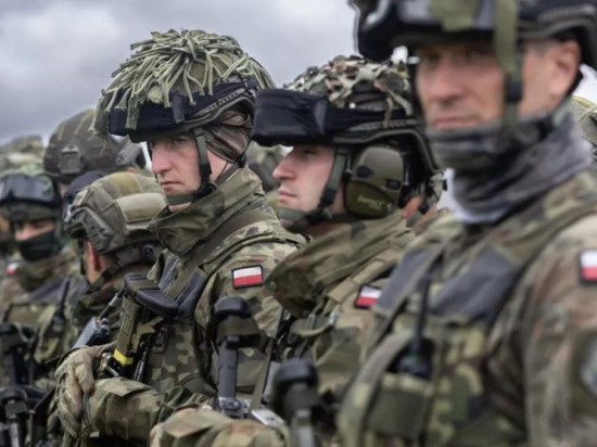 Польская армия: от профессионалов до резерва высокой готовности