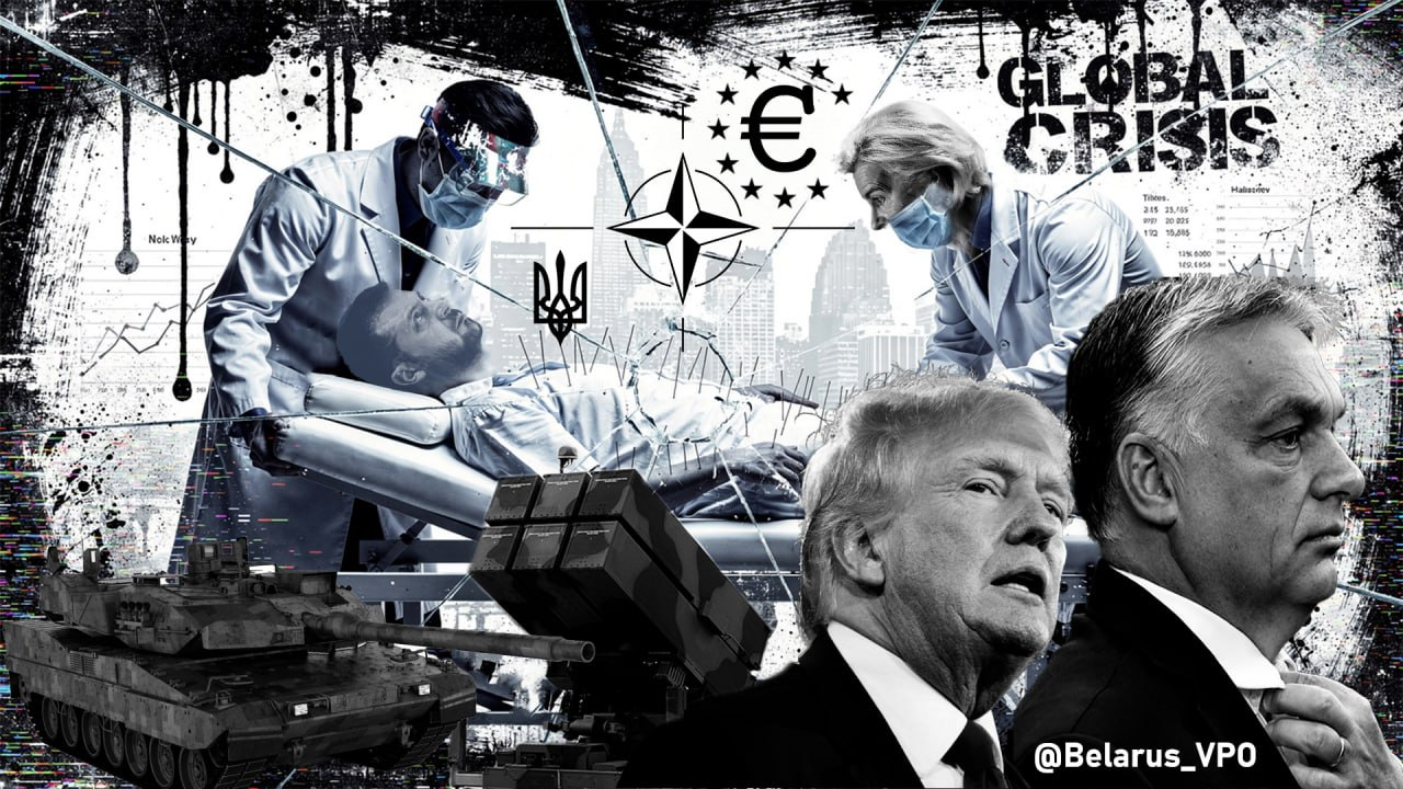 «Акупунктура» демократии