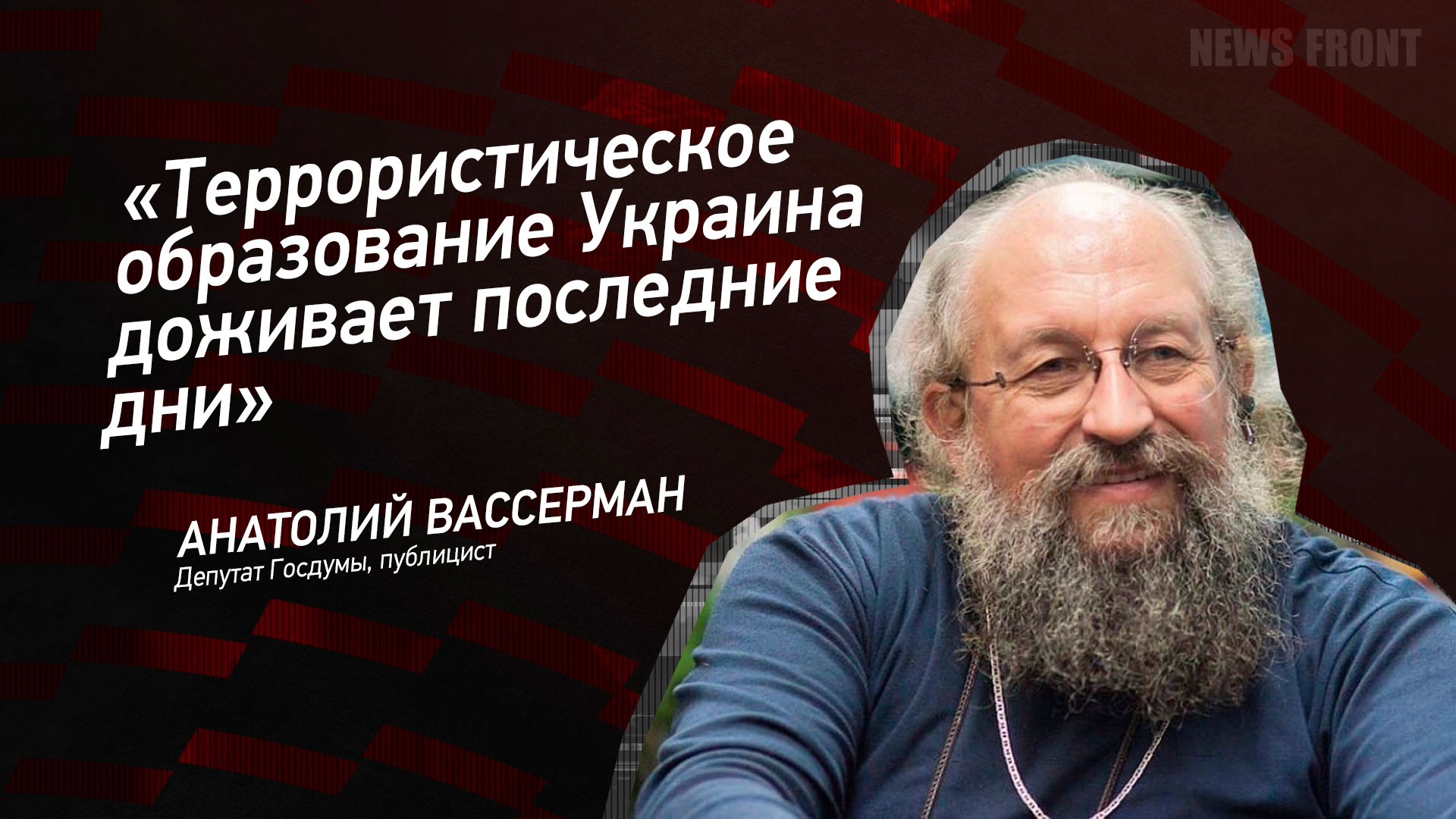 Мнение: «Террористическое образование Украина доживает последние дни», – Анатолий Вассерман