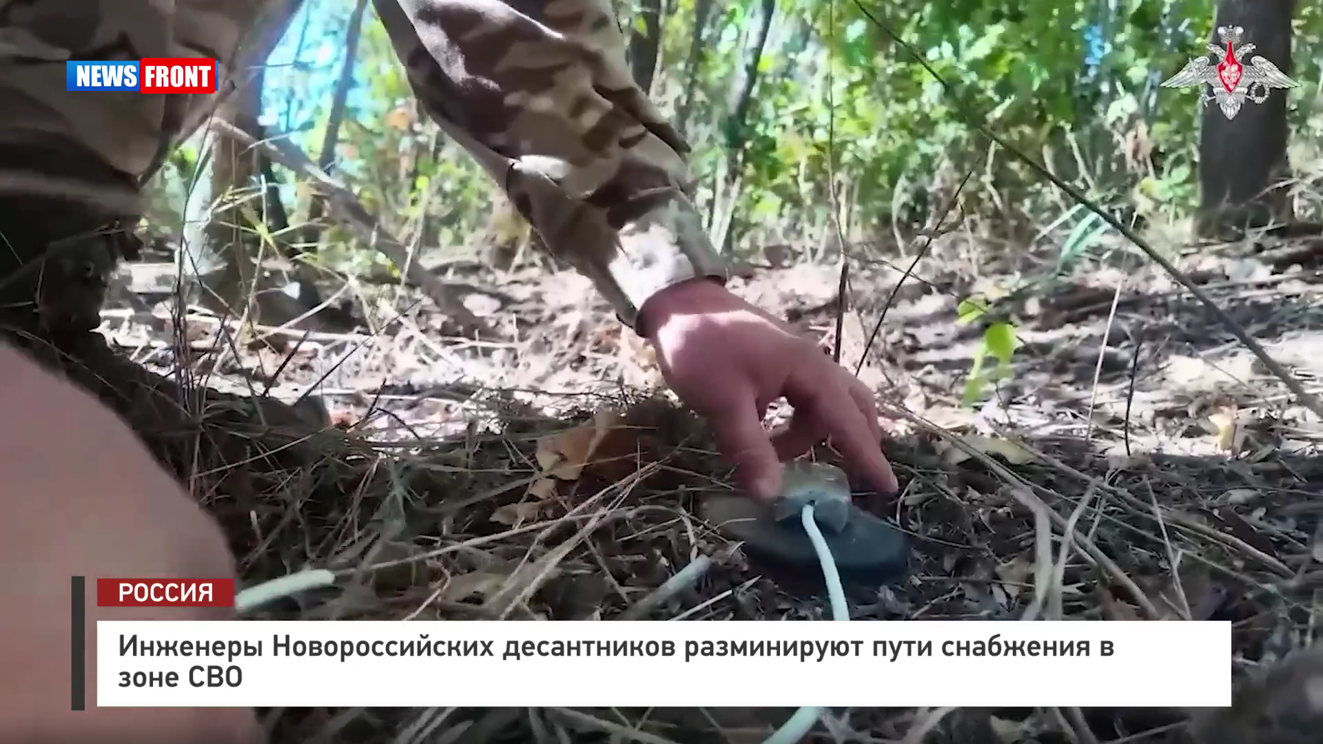 Инженеры Новороссийских десантников разминируют пути снабжения в зоне СВО